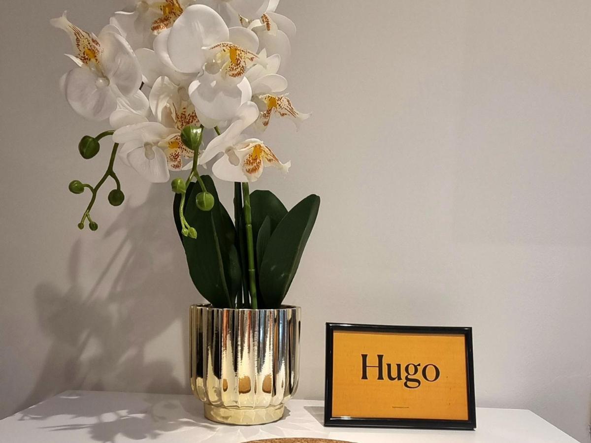 Hugo Old Town Apartment Белград Екстериор снимка